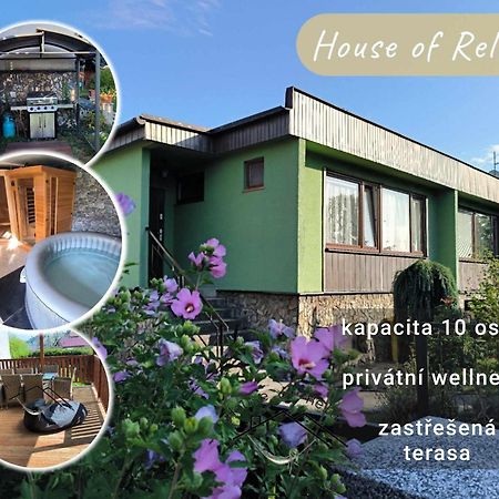 Recany nad Labem House Of Relax 빌라 외부 사진